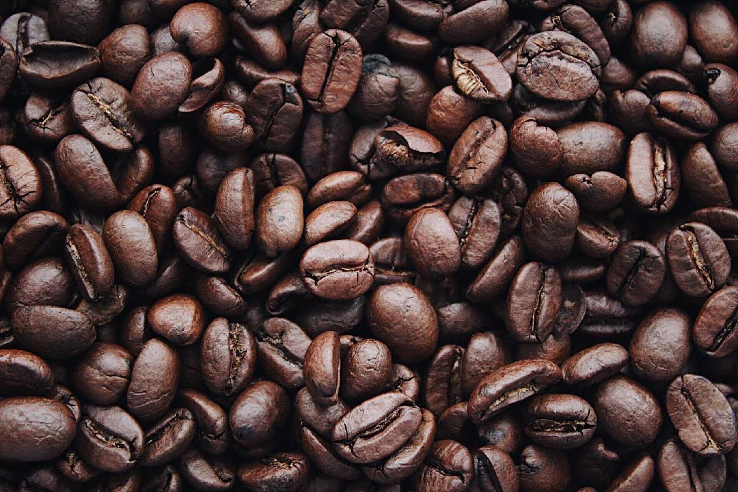 close-up of coffee beans