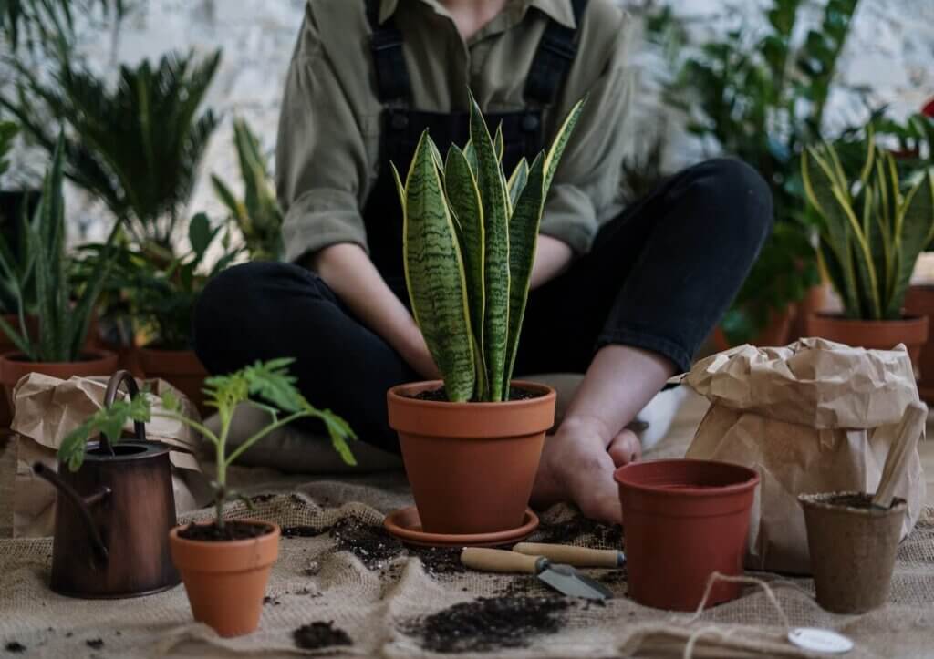 Person gardening in their apartment