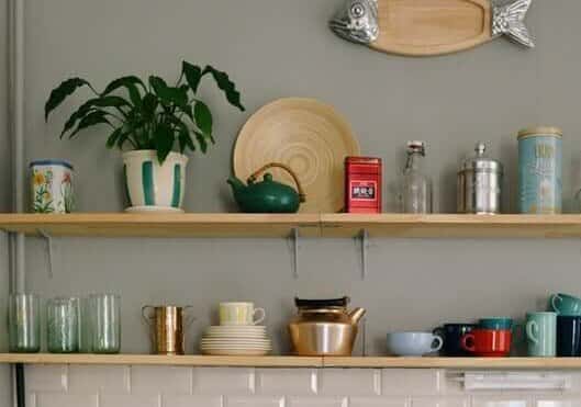 13 Unforgettable Plants to Decorate Kitchen Cabinet Tops