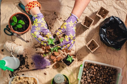 lady replanting plants